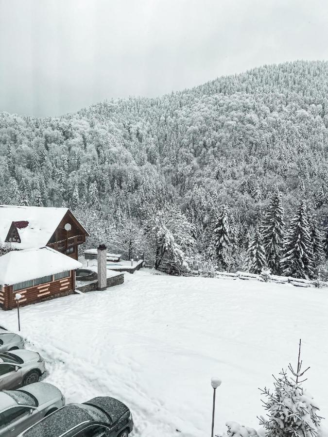Kamyanka Hotel Mizhhirya  ภายนอก รูปภาพ